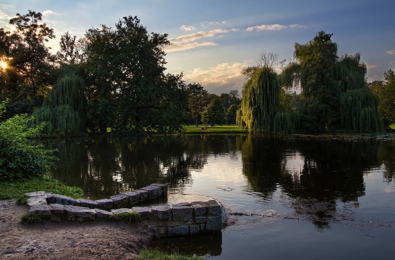 Stromovka at Sunset